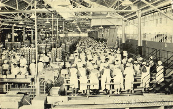 The Dole Pineapple Cannery In Honolulu Hawaii