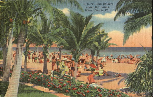 Sun Bathers Under The Palms Miami Beach Florida