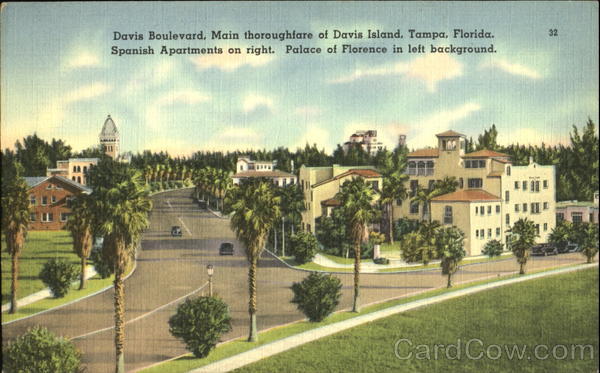 David Boulevard Tampa Florida