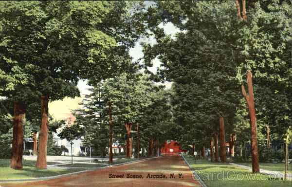 Street Scene Arcade New York