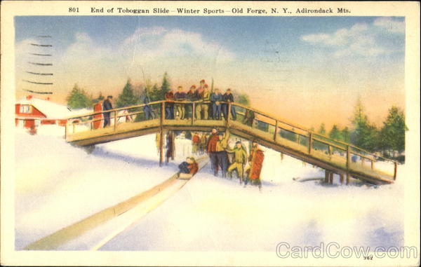 End Of Toboggan Slide, Adirondack Mts Old Forge New York