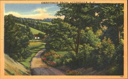 Greetings From Allendale Postcard