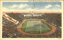 Coliseum, Exposition Park Postcard