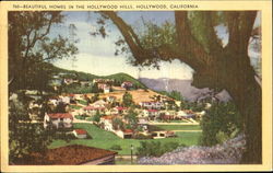 Beautiful Homes In The Hollywood Hills Postcard
