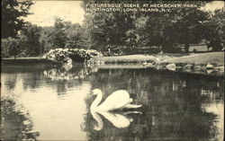 Picturesque Scene At Heckscher Park, Long Island Huntington, NY Postcard Postcard