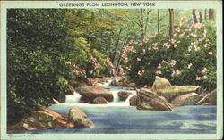 Greetings From Lexington Postcard