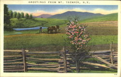 Greetings From Mt. Tremper Postcard