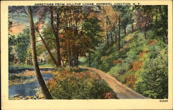 Greetings From Hilltop Lodge Hopewell Junction, NY Postcard Postcard