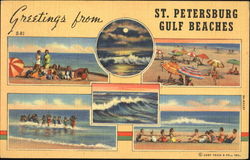 Greetings From St. Petersburg Gulf Beaches Florida Postcard Postcard