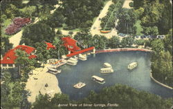 Aerial View Of Silver Spring Silver Springs, FL Postcard Postcard