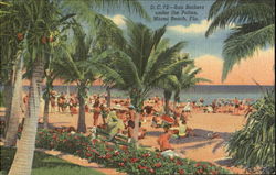 Sun Bathers Under The Palms Postcard