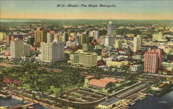 Miami Postcard