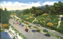 Golden Gate Park San Francisco, CA Postcard Postcard