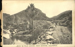 Road To Palm Canyon Postcard