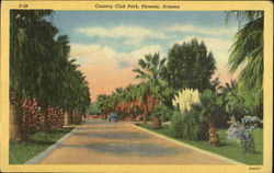 Country Club Park Postcard