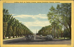 Looking South On Central Avenue Postcard