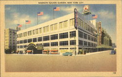 Madison Square Garden Postcard