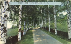 Greetings From Copake New York Postcard Postcard