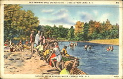 Old Swimming Pool On Route 145 Cairo, NY Postcard 