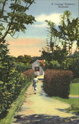 A Cottage Pathway Postcard