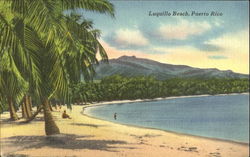 Luquillo Beach Postcard