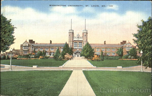 Washington University St. Louis Missouri