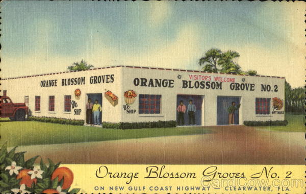 Orange Blossom Groves No. 2 Clearwater Florida