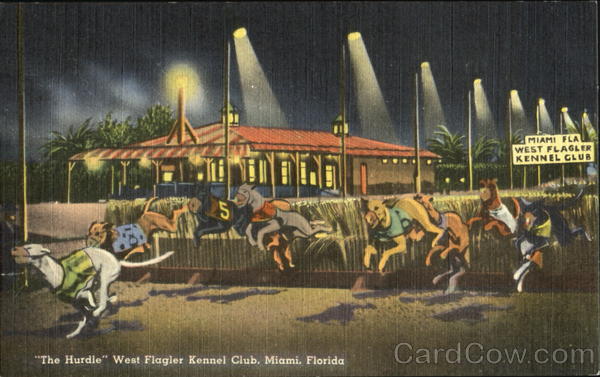 The Hurdle West Flagler Kennel Club Miami Florida
