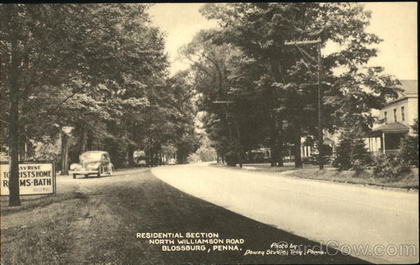 Residential Section, North Williamson Road Blossburg Pennsylvania