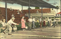 Shuffleboard Court Postcard