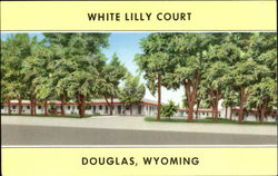 White Lilly Court Postcard