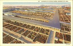 Kansas City Stock Yards Postcard