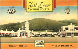 Fort Lewis Tourist Courts, U. S. 11 And 460 Salem, VA Postcard Postcard