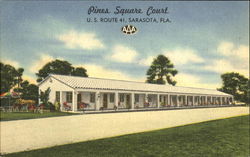 Pines Square Court, U. S. Route 41 Sarasota, FL Postcard 