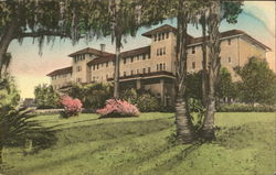 The Hotel Alabama Postcard