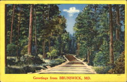 Greetings From Brunswick Maryland Postcard Postcard