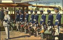 At The Judge's Stand, Hollywood Dog Track Florida Postcard Postcard