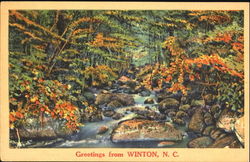 Greetings From Winton Postcard