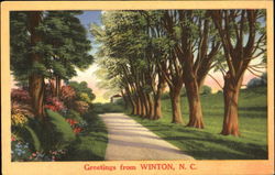 Greetings From Winton Postcard