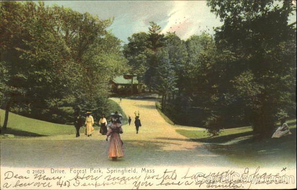 Drive Forest Park Springfield Massachusetts