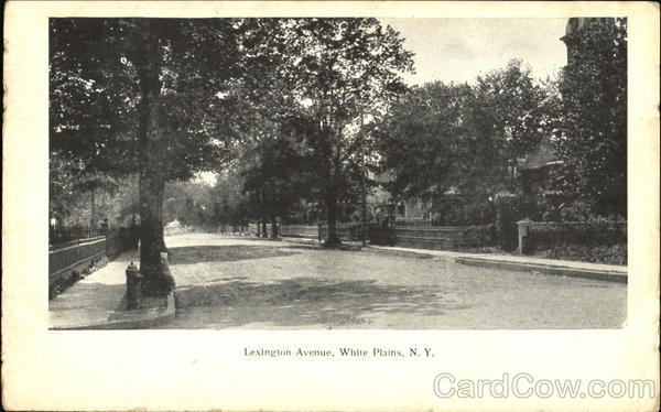 Lexington Avenue White Plains New York