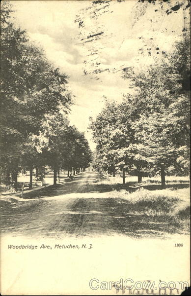 Woodbridge Ave. Metuchen New Jersey