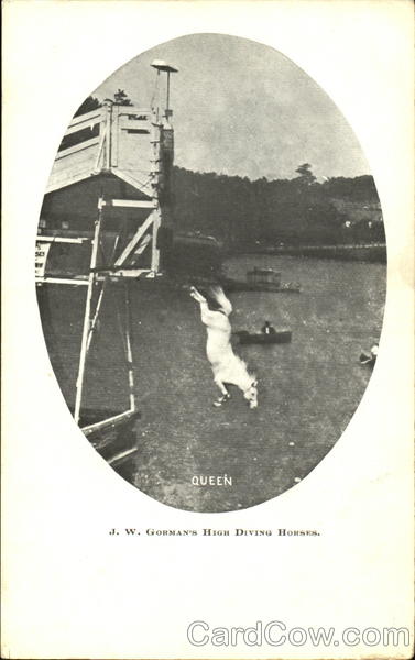 J. W. Gorman's High Diving Horses Atlantic City New Jersey