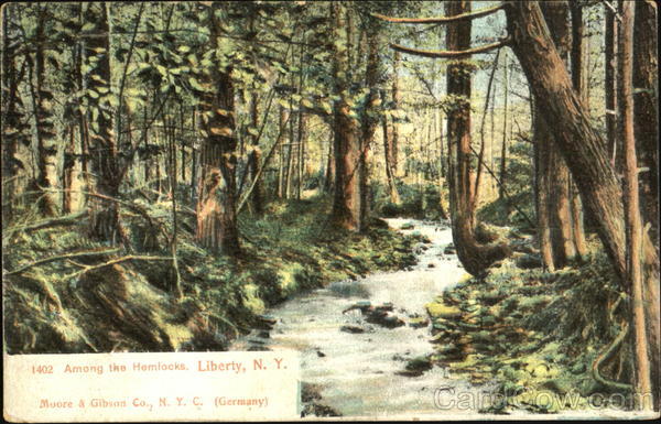 Among The Hemlocks Liberty New York