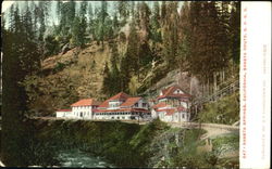 Shasta Springs Postcard