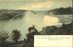 American Falls From Hill On Goat Island Postcard