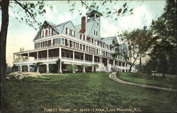 Forest House At Interlaken Postcard