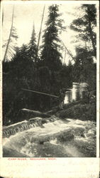 Carp River Negaunee, MI Postcard Postcard