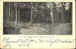 View In Laddin's Rock Farm Postcard