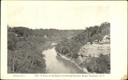 A View Of The Gorge, Driving Park Ave. Bridge Postcard